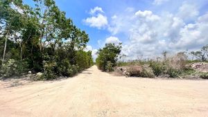 Lotes Habitacionales En Venta En Zona De Crecimiento En Tulum