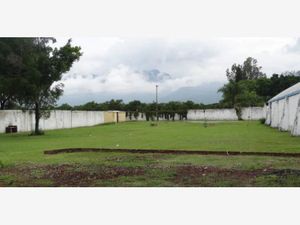 Terreno en Venta en Oasis Yautepec II Yautepec