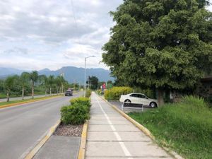 Terreno en Venta en Jacarandas Yautepec