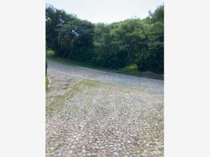 Terreno en Venta en Ixtapan de la Sal Ixtapan de la Sal