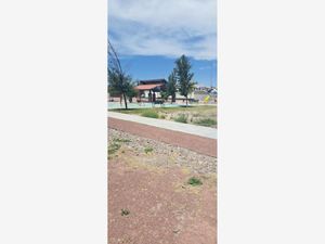 Terreno en Venta en Las Quintas Torreón