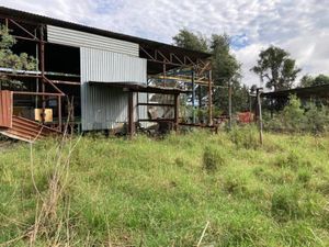 Terreno en Renta en Ciudad Guzman Centro Zapotlán El Grande