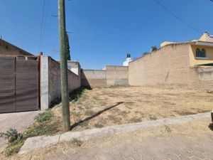 Terreno en Venta en Santa Maria Tequepexpan San Pedro Tlaquepaque