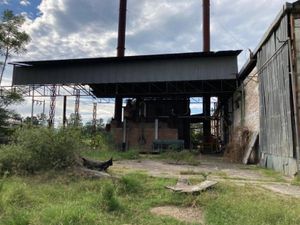 Terreno en Renta en Ciudad Guzman Centro Zapotlán El Grande