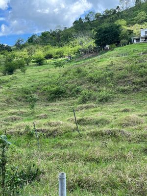 MACROLOTES CAMPESTRES  EN SAN FERNANDO CHIAPAS