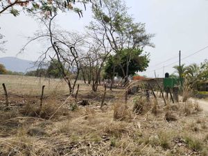 Se renta terreno en Plan de Ayala, Carretera Internacional Tuxtla Gutiérrez