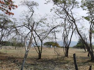 Se renta terreno en Plan de Ayala, Carretera Internacional Tuxtla Gutiérrez