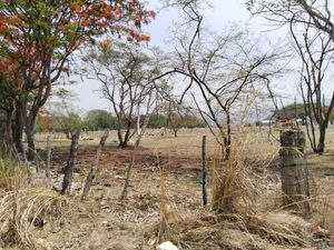 Se renta terreno en Plan de Ayala, Carretera Internacional Tuxtla Gutiérrez