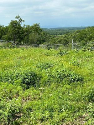 TERRENO CAMPESTRE EN VENTA EN EL FARO (EL FRAILE) NUEVO LEON