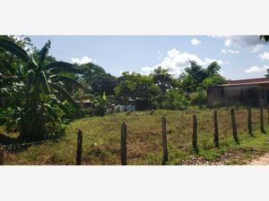 Terreno en Venta en El Piedral Emiliano Zapata