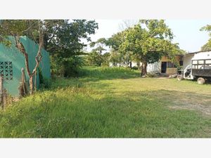 Terreno en Venta en Chichicapa Comalcalco