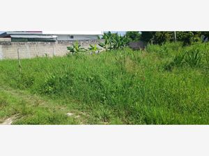 Terreno en Venta en PEMEX (Cobertizo) Comalcalco