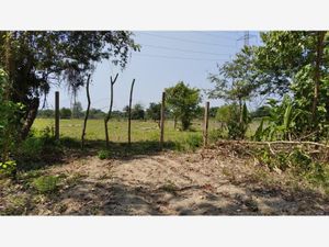 Terreno en Venta en La Trinidad Cárdenas