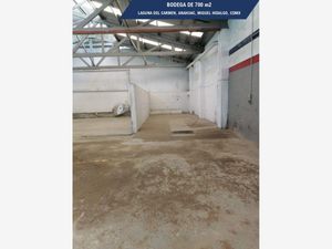 Bodega en Venta en Anáhuac I Sección Miguel Hidalgo