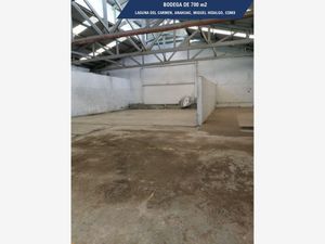 Bodega en Venta en Anáhuac I Sección Miguel Hidalgo