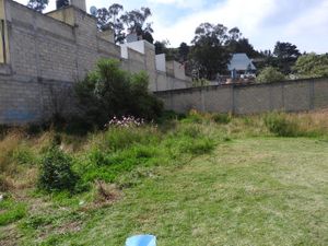 Terreno en Venta en San Mateo Oxtotitlan Toluca