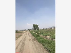 Terreno en Venta en San Gregorio Cuautzingo Chalco