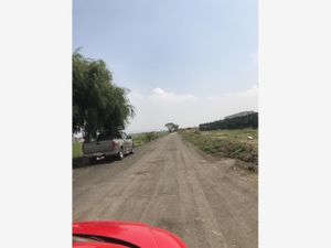 Terreno en Venta en San Gregorio Cuautzingo Chalco