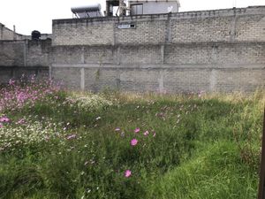 Terreno en Venta en El Seminario 4a Sección Toluca