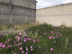 Terreno en Venta en El Seminario 4a Sección Toluca