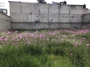 Terreno en Venta en El Seminario 4a Sección Toluca