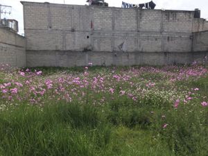 Terreno en Venta en El Seminario 4a Sección Toluca