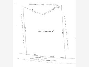 Terreno en Venta en La Mora Atlacomulco