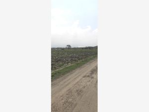 Terreno en Venta en San Gregorio Cuautzingo Chalco