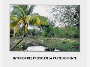 Terreno en Venta en Puerto Morelos Puerto Morelos