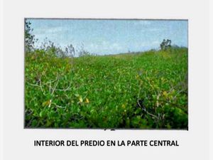 Terreno en Venta en Puerto Morelos Puerto Morelos