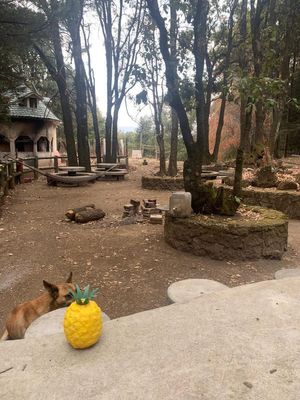 Espectacular terreno en venta en San Isidro El Arenal, Ajusco.