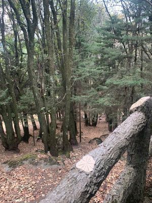 Espectacular terreno en venta en San Isidro El Arenal, Ajusco.