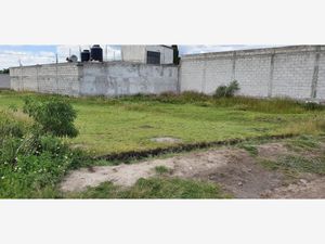 Terreno en Venta en Amozoc Centro Amozoc