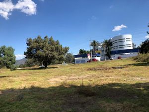 Terreno en Venta en La Trinidad Tepehitec Tlaxcala