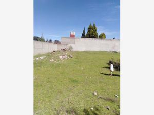 Terreno en Venta en Ocotlan Tlaxcala