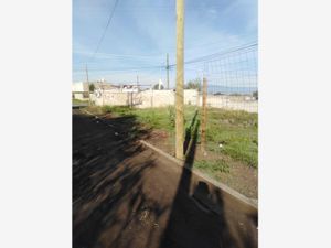 Terreno en Venta en La Trinidad Tepehitec Tlaxcala