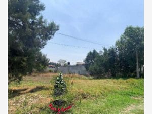 Terreno en Venta en Xicohténcatl Tlaxcala