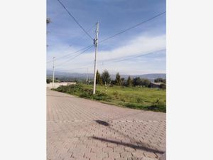 Terreno en Venta en San Lucas Cuauhtelulpan Tlaxcala