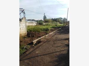 Terreno en Venta en La Trinidad Tepehitec Tlaxcala