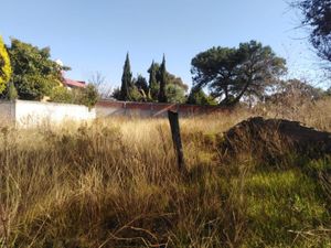 Terreno en Venta en La Trinidad Tepehitec Tlaxcala