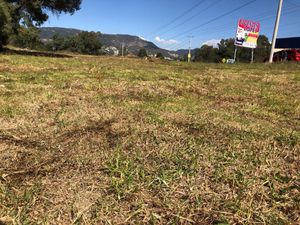 Terreno en Venta en La Trinidad Tepehitec Tlaxcala