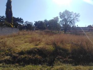 Terreno en Venta en La Trinidad Tepehitec Tlaxcala