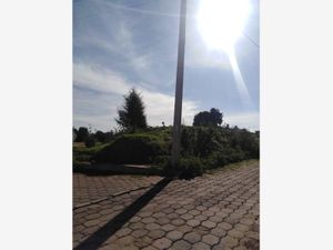 Terreno en Venta en San Lucas Cuauhtelulpan Tlaxcala