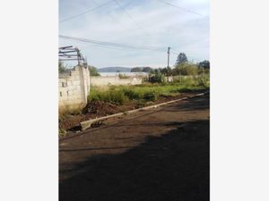 Terreno en Venta en La Trinidad Tepehitec Tlaxcala