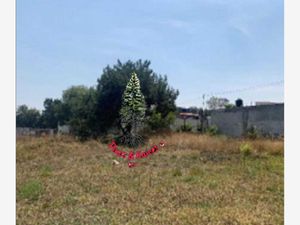 Terreno en Venta en Xicohténcatl Tlaxcala