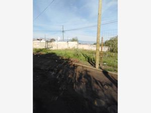 Terreno en Venta en La Trinidad Tepehitec Tlaxcala