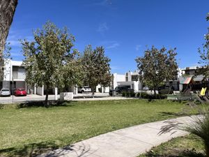 Casa en Renta en Los Viñedos Torreón