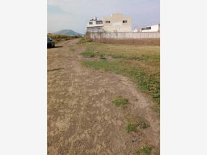 Terreno en Venta en Santa Maria Huexoculco Chalco