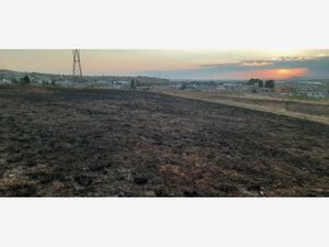 Terreno en Venta en Guadalupe del Oro Puebla