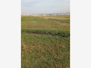 Terreno en Venta en Santa Maria Huexoculco Chalco